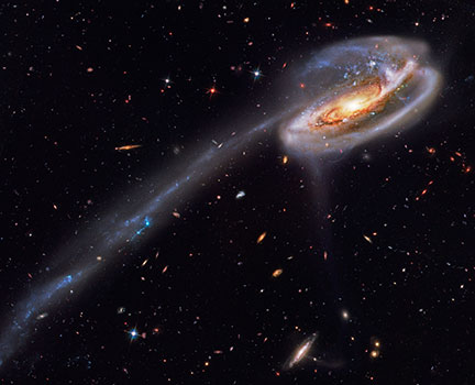 Tadpole Galaxy PS1V9