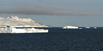 Iceburgs off the Antartica pennisula